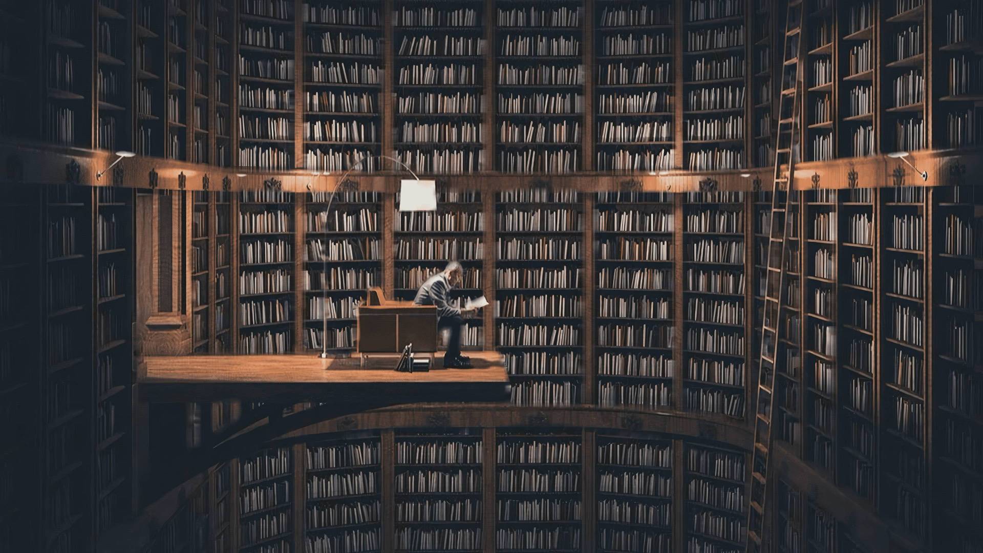 Never Ending Library - Landscape by Frederick Barnes - Blackdove